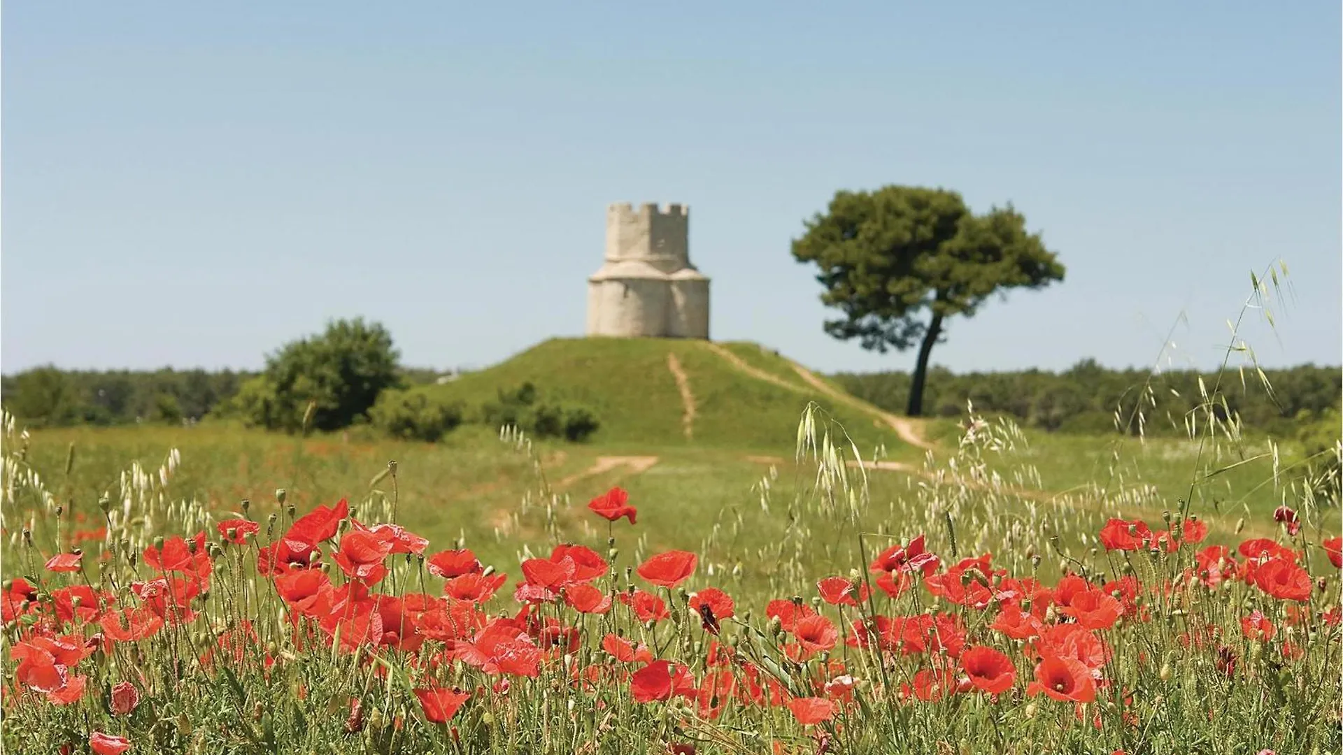 Hébergement de vacances Pet Friendly Home In Nin With Kitchen